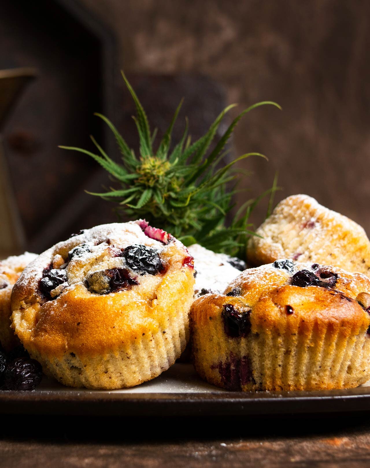 products-edibles-everett.jpg